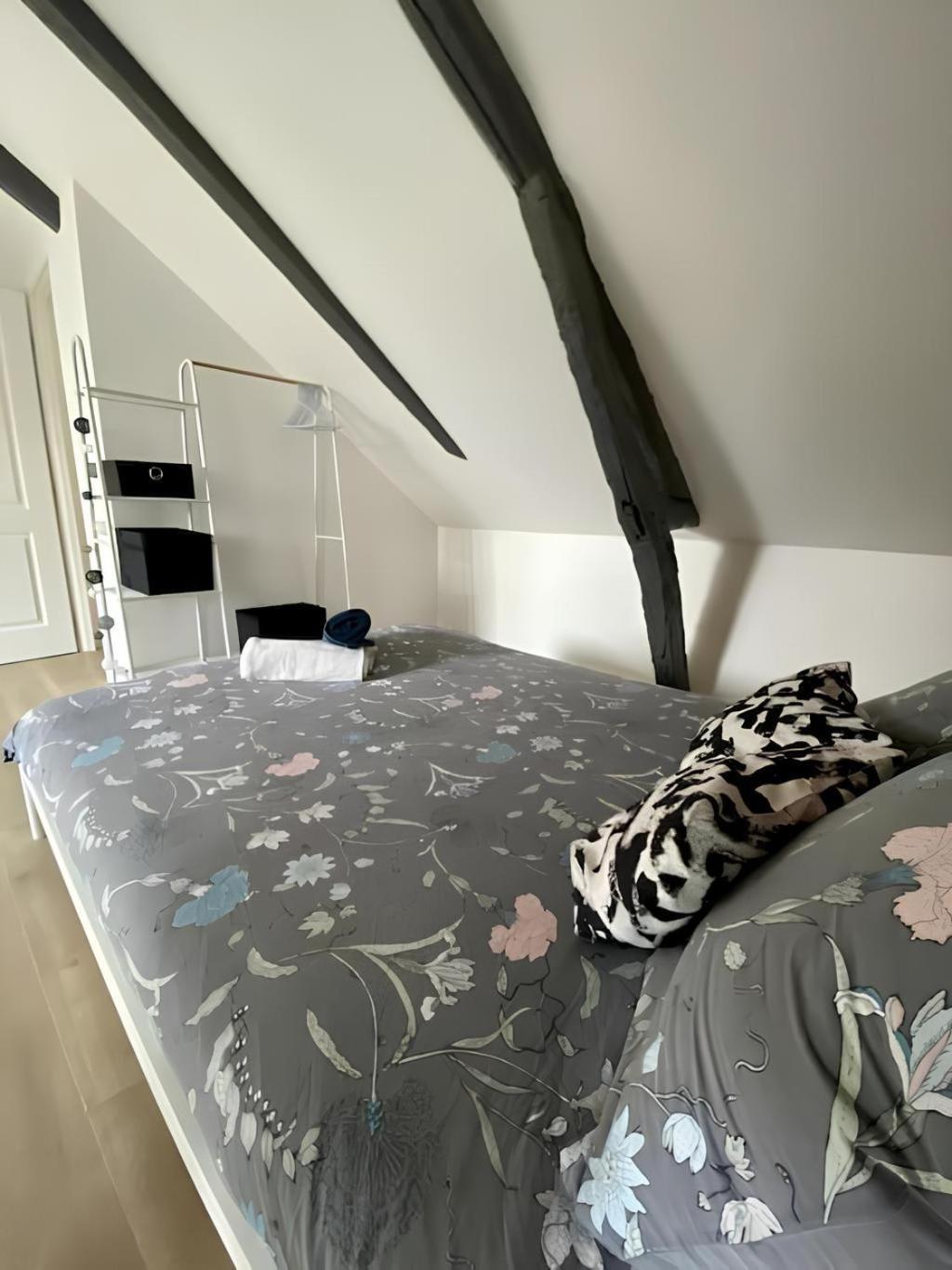 Maison Familiale Avec Exterieur Menage Et Linges Inclus 鲁昂 外观 照片